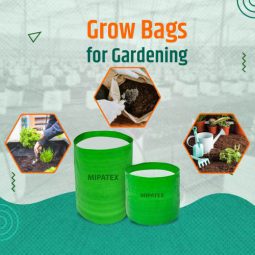 grow_bags_englihs