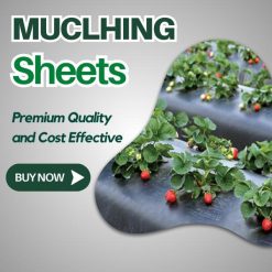 mulching_sheet
